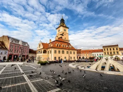 Câini de vânzare în Brasov