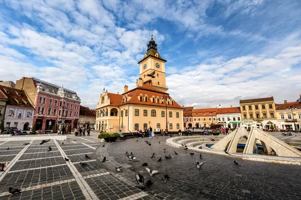 cainedevanzare-brasov