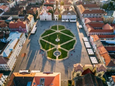 Câini de vânzare în Timisoara