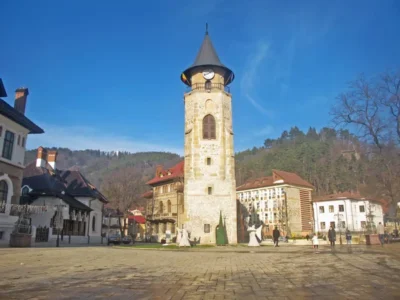 Câini de vânzare în Piatra Neamt
