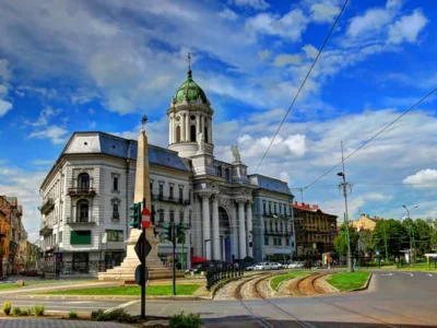 Câini de vânzare în Arad