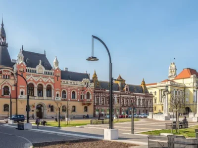 Câini de vânzare în Oradea