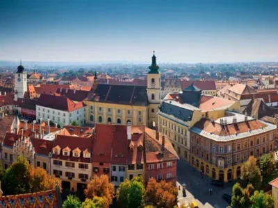 Câini de vânzare în Sibiu